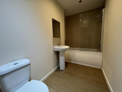 Picture 12